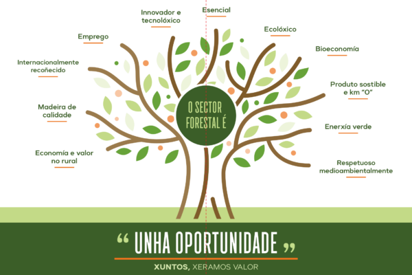 El sector forestal características principales. "Una oportunidad - generamos valor"