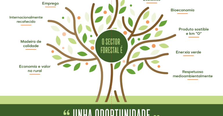 El sector forestal características principales. "Una oportunidad - generamos valor"