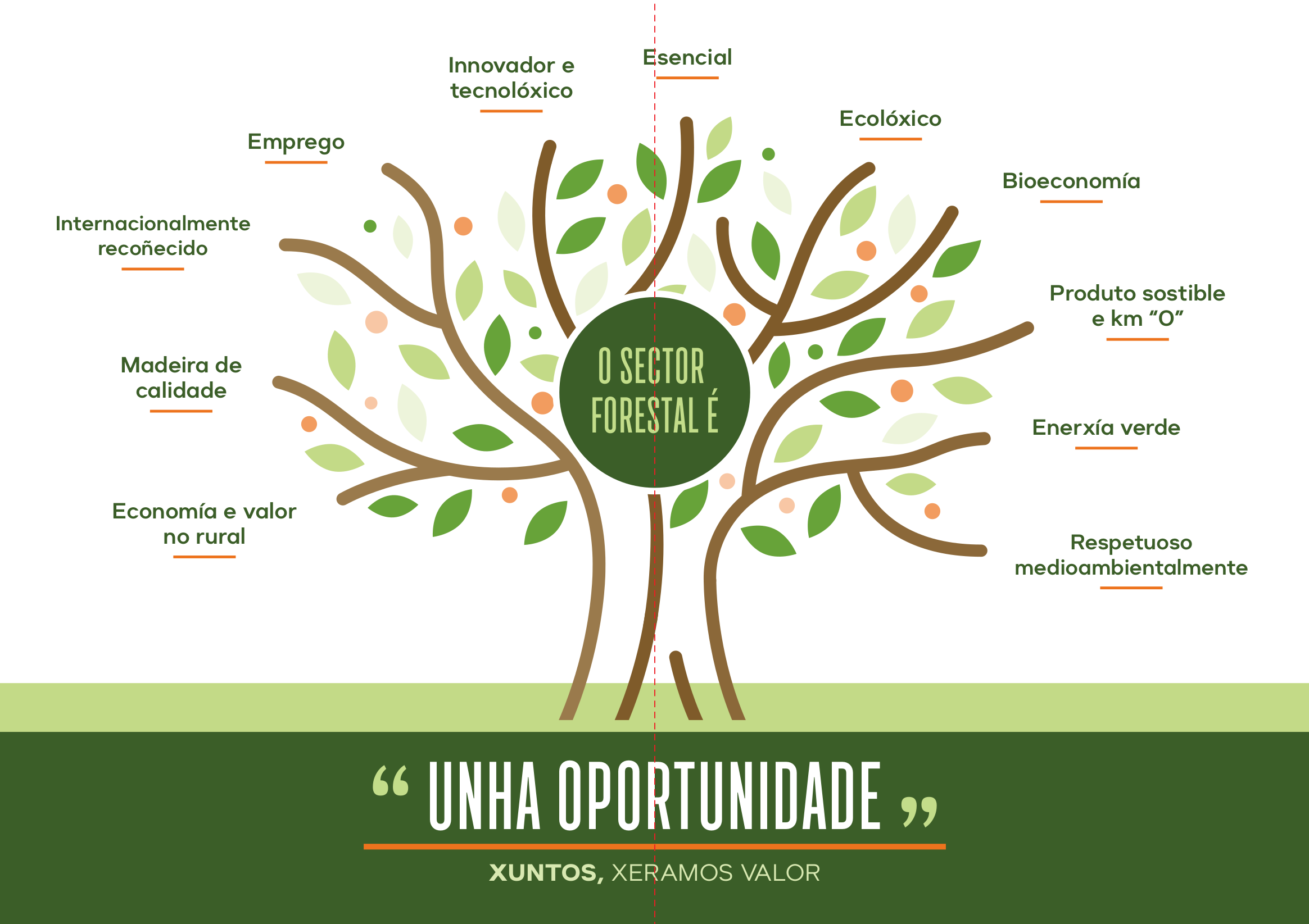El sector forestal características principales. "Una oportunidad - generamos valor"