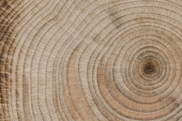 Background madera