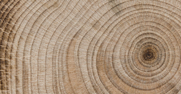 Background madera