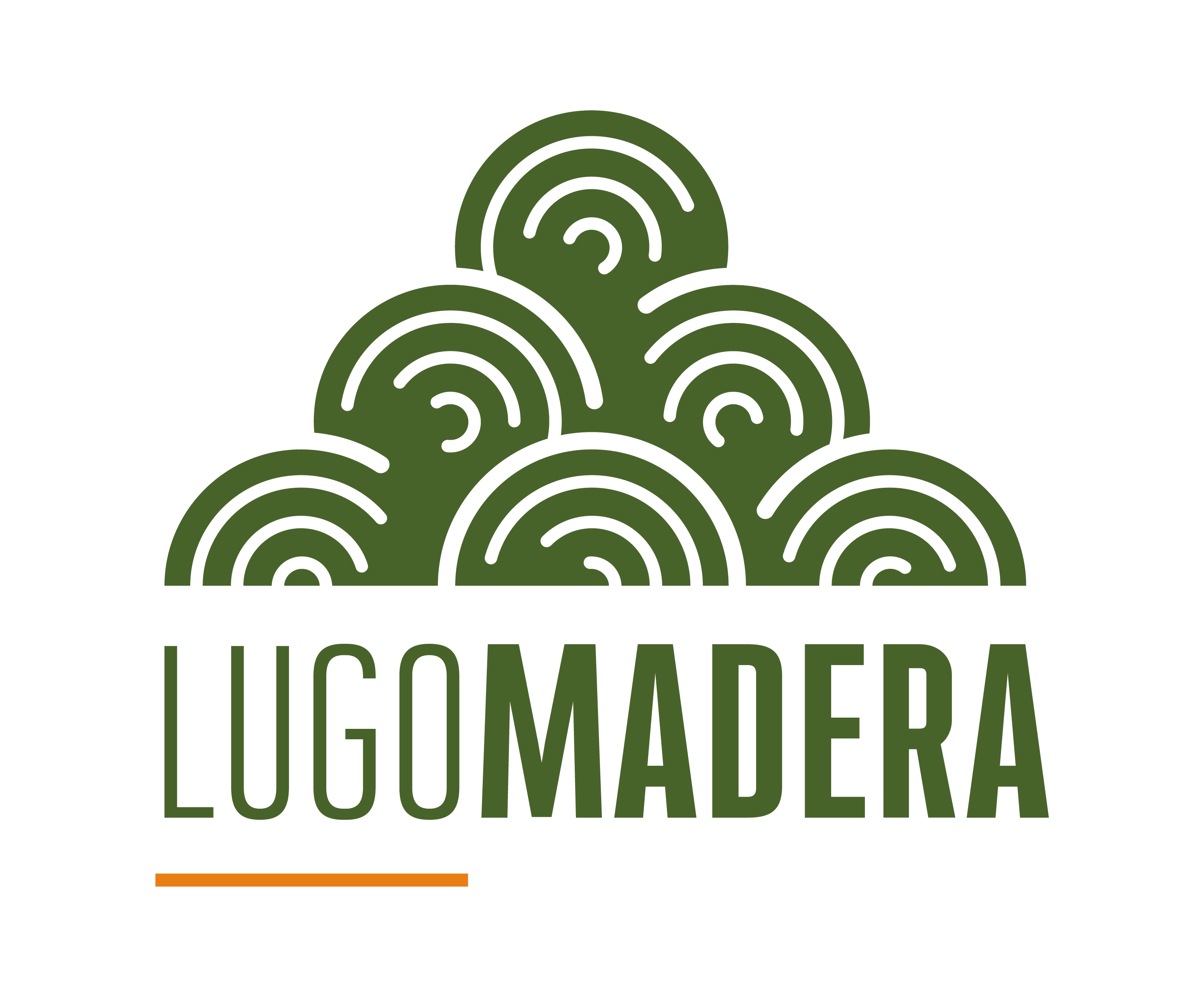 LugoMadera