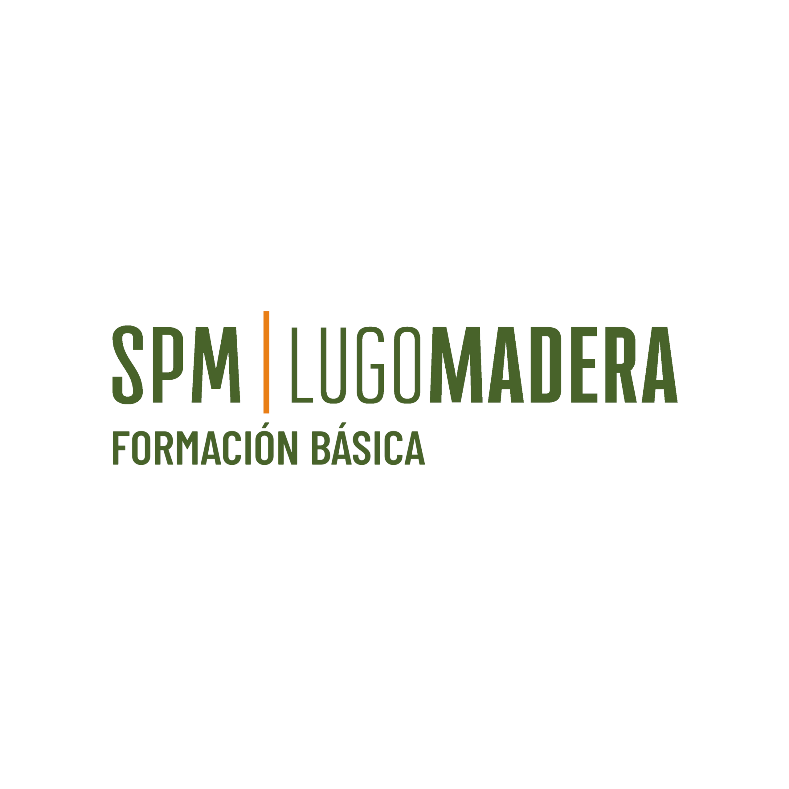 FORMACIÓN BÁSICA SPM
